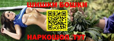 СК Кандалакша