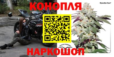 2c-b Камышлов