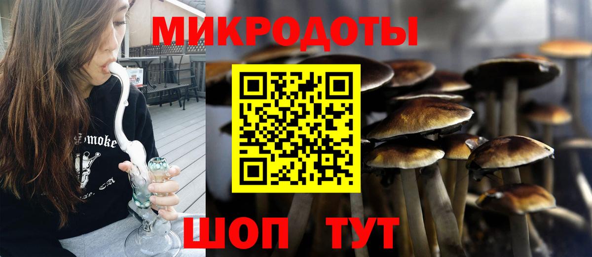 дарнет шоп  Вход с VPN  Кузнецк  Псилоцибиновые грибы мухоморы 